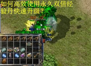 如何高效使用永久双倍经验丹快速升级？