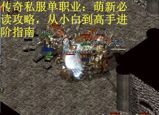 传奇私服单职业：萌新必读攻略，从小白到高手进阶指南