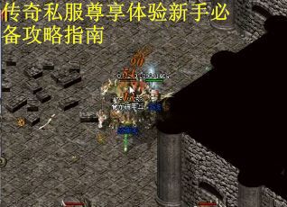 传奇私服尊享体验新手必备攻略指南