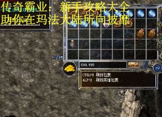 传奇霸业：新手攻略大全助你在玛法大陆所向披靡