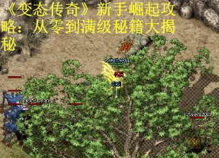 《变态传奇》新手崛起攻略：从零到满级秘籍大揭秘
