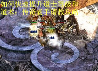 如何快速提升道士等级和道术：传奇老手请教攻略