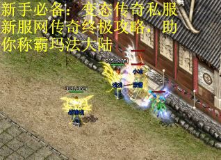 新手必备：变态传奇私服新服网传奇终极攻略，助你称霸玛法大陆