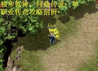 独步乾坤，问鼎传说：单职业传奇攻略剖析