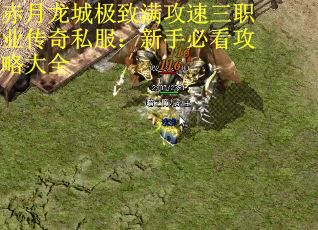 赤月龙城极致满攻速三职业传奇私服：新手必看攻略大全