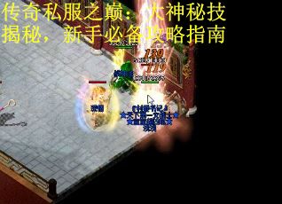 传奇私服之巅：大神秘技揭秘，新手必备攻略指南