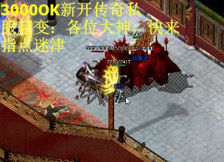 3000OK新开传奇私服超变：各位大神，快来指点迷津