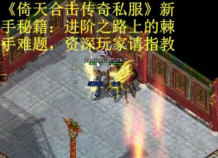 《倚天合击传奇私服》新手秘籍：进阶之路上的棘手难题，资深玩家请指教