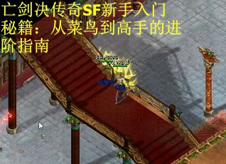 亡剑决传奇SF新手入门秘籍：从菜鸟到高手的进阶指南