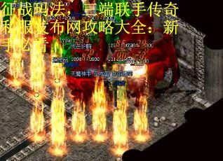 征战玛法，三端联手传奇私服发布网攻略大全：新手必看