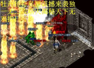 牡丹传奇私服震撼来袭独一无二攻略大揭秘天下无双指日可待