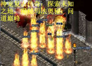神宠复古传奇：探索未知之地，揭秘玛法奥秘，问道巅峰