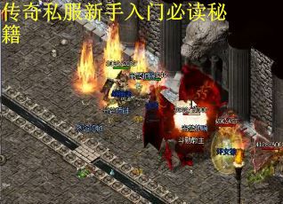 传奇私服新手入门必读秘籍