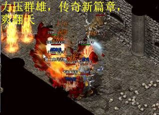 力压群雄，传奇新篇章，爽翻天