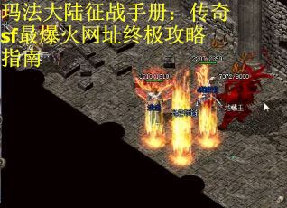 玛法大陆征战手册：传奇sf最爆火网址终极攻略指南