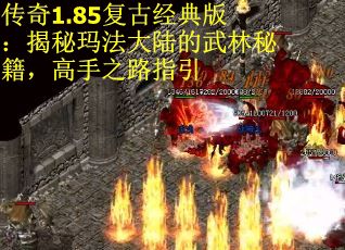 传奇1.85复古经典版：揭秘玛法大陆的武林秘籍，高手之路指引
