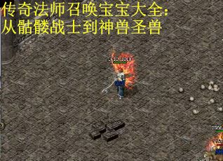 传奇法师召唤宝宝大全：从骷髅战士到神兽圣兽