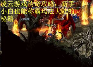 凌云游戏传奇攻略：新手小白也能称霸玛法大陆的秘籍