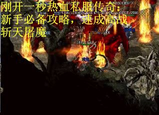 刚开一秒热血私服传奇：新手必备攻略，速成高战斩天屠魔