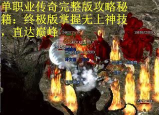 单职业传奇完整版攻略秘籍：终极版掌握无上神技，直达巅峰