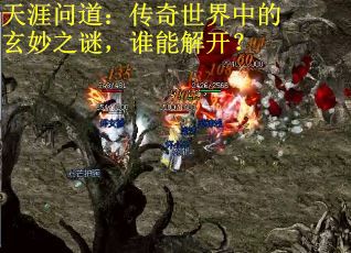 天涯问道：传奇世界中的玄妙之谜，谁能解开？