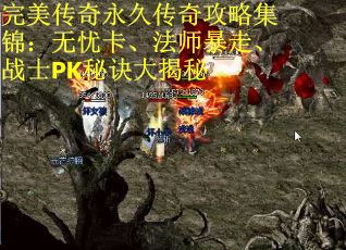 完美传奇永久传奇攻略集锦：无忧卡、法师暴走、战士PK秘诀大揭秘