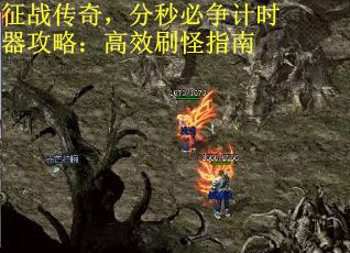 征战传奇，分秒必争计时器攻略：高效刷怪指南