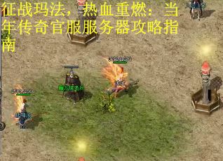 征战玛法，热血重燃：当年传奇官服服务器攻略指南