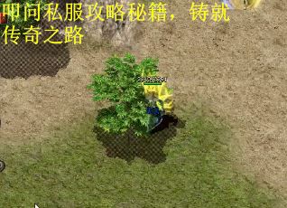 叩问私服攻略秘籍，铸就传奇之路