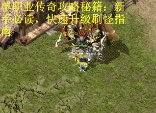 单职业传奇攻略秘籍：新手必读，快速升级刷怪指南