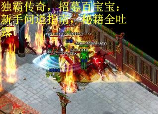 独霸传奇，招募百宝宝：新手问道指南，秘籍全吐露