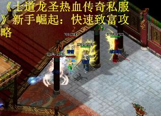 《士道龙圣热血传奇私服》新手崛起：快速致富攻略