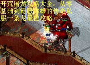 开荒屠龙攻略大全：从零基础到霸服称雄的传奇私服一条龙最佳攻略