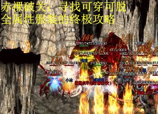 赤裸破关：寻找可穿可脱全属性服装的终极攻略