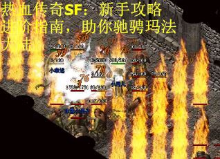 热血传奇SF：新手攻略进阶指南，助你驰骋玛法大陆