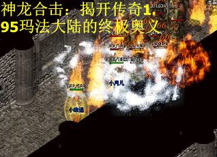 神龙合击：揭开传奇1.95玛法大陆的终极奥义