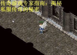 传奇游戏专家指南：揭秘私服传奇的秘密