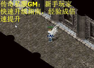 传奇私服GM：新手玩家快速升级指南，经验成倍速提升