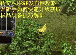 传奇私服SF发布网攻略？新手如何快速升级获取极品装备技巧解析