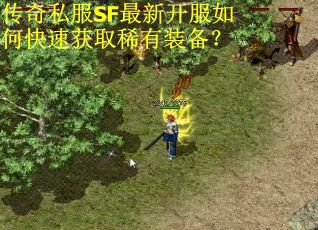 传奇私服SF最新开服如何快速获取稀有装备？