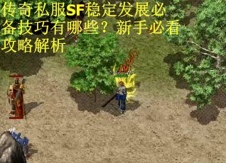 传奇私服SF稳定发展必备技巧有哪些？新手必看攻略解析