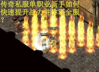 传奇私服单职业新手如何快速提升战力并称霸全服? 传奇私服单职业新手如何快速提升战力并称霸全服?