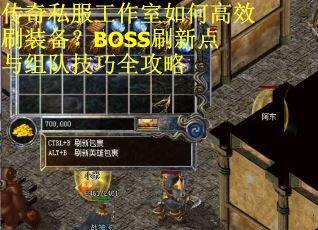 传奇私服工作室如何高效刷装备？BOSS刷新点与组队技巧全攻略