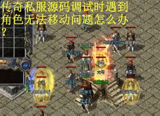 传奇私服源码调试时遇到角色无法移动问题怎么办？