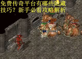 免费传奇平台有哪些隐藏技巧？新手必看攻略解析