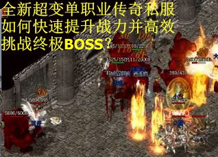 全新超变单职业传奇私服如何快速提升战力并高效挑战终极BOSS？