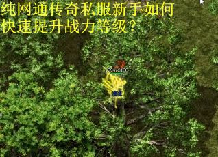 纯网通传奇私服新手如何快速提升战力等级? 纯网通传奇私服新手如何快速提升战力等级?