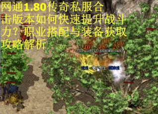 网通1.80传奇私服合击版本如何快速提升战斗力?职业搭配与装备获取攻略解析 网通1.80传奇私服合击版本如何快速提升战斗力?职业搭配与装备获取攻略解析