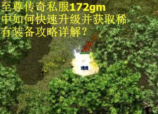 至尊传奇私服172gm中如何快速升级并获取稀有装备攻略详解? 至尊传奇私服172gm中如何快速升级并获取稀有装备攻略详解?