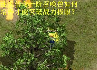 迷失传奇十阶召唤兽如何培养才能突破战力极限? 迷失传奇十阶召唤兽如何培养才能突破战力极限?